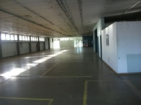 Imagen 2