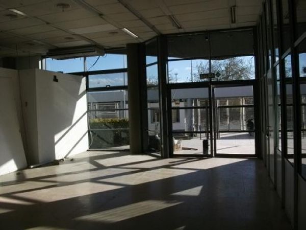 Imagen 4