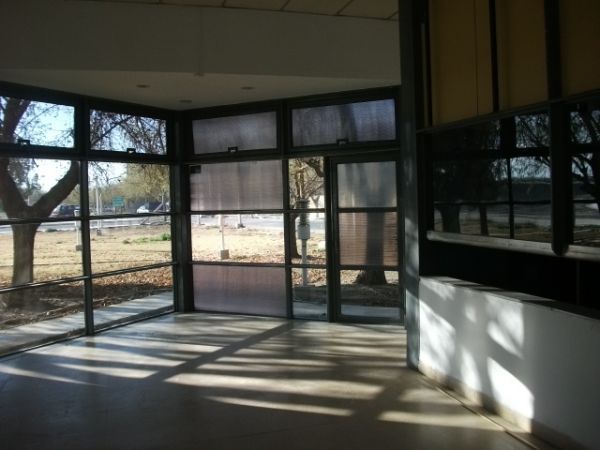 Imagen 5