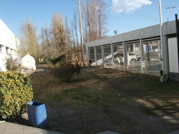 Imagen 7