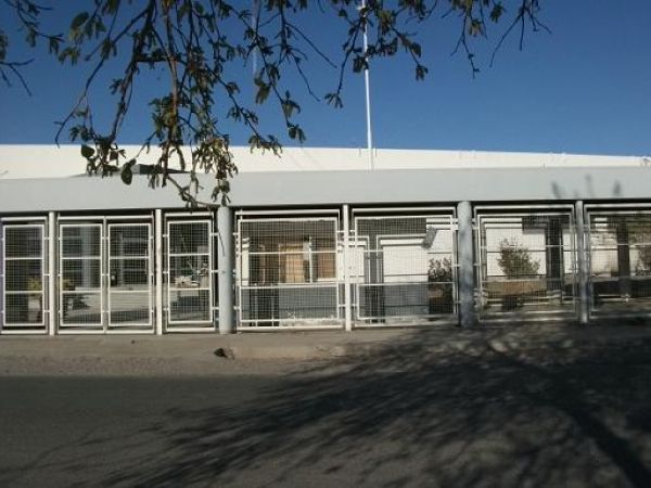 Imagen 8