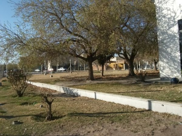 Imagen 9