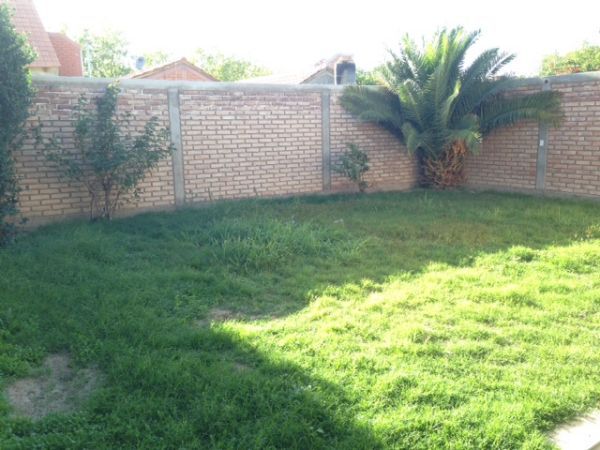 Imagen 7