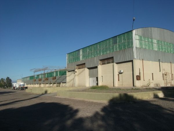 Imagen 3