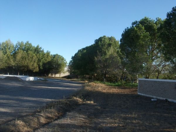 Imagen 6