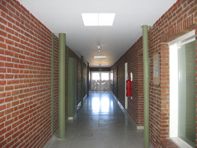 Imagen 8