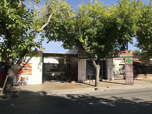 Lote en General Acha Sur 1667
