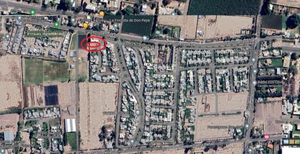 Imagen 2