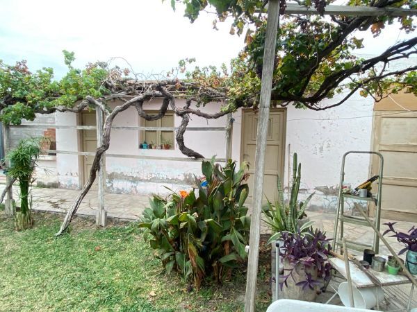 Imagen 20